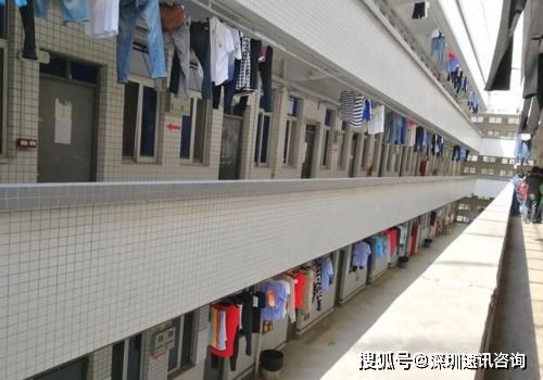驗廠對宿舍、食堂與醫療的要求全解析 掌握標準，輕松通過住宿服務審核